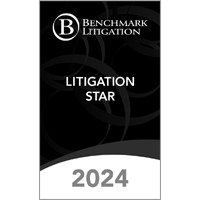 2024 Benchmark Litigation Star